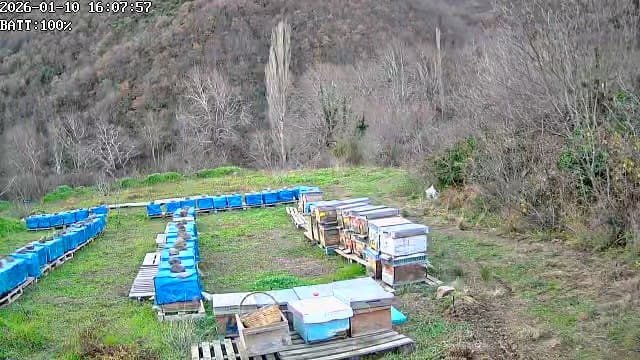 Local nature