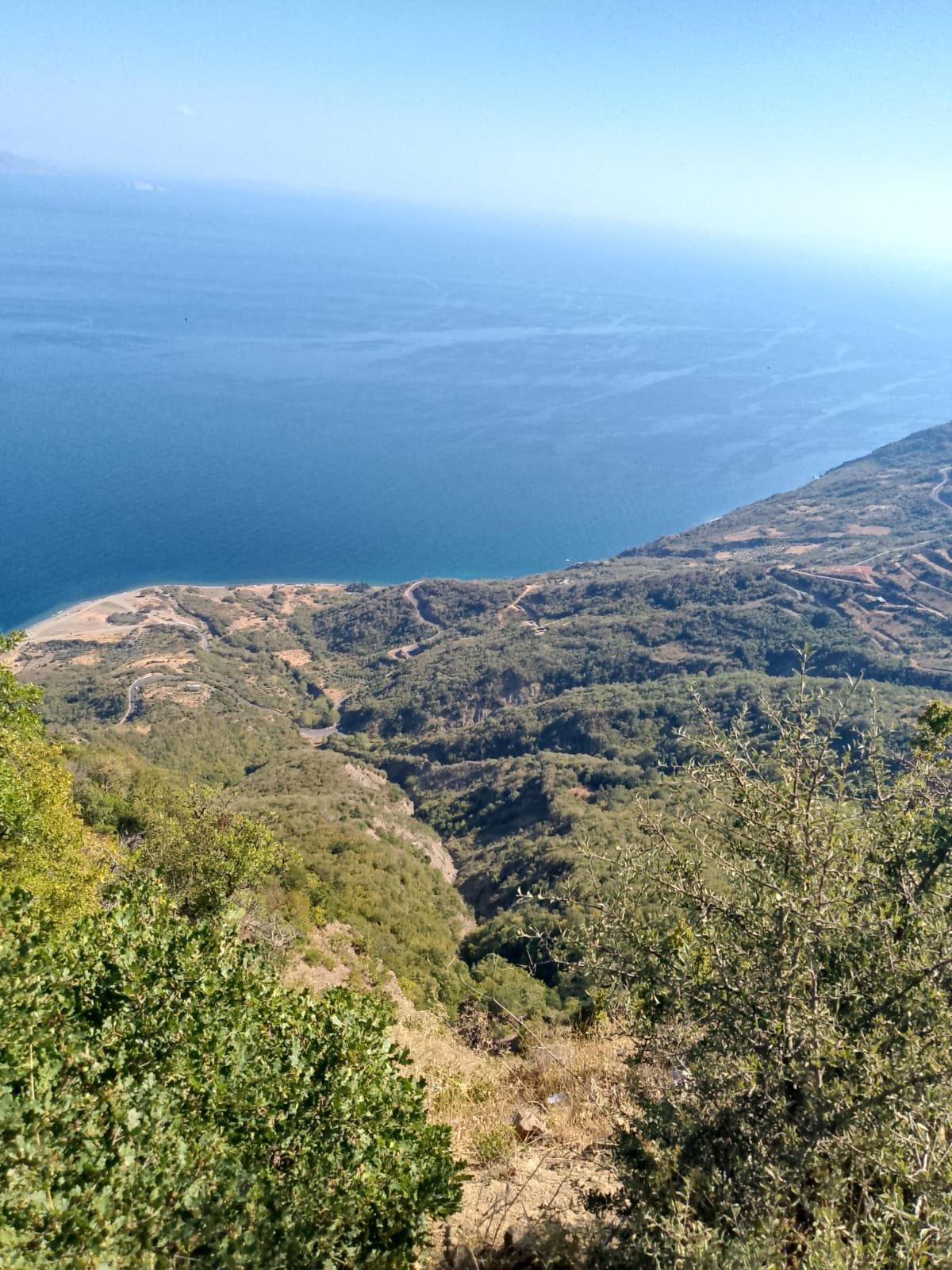 Coastal landscape