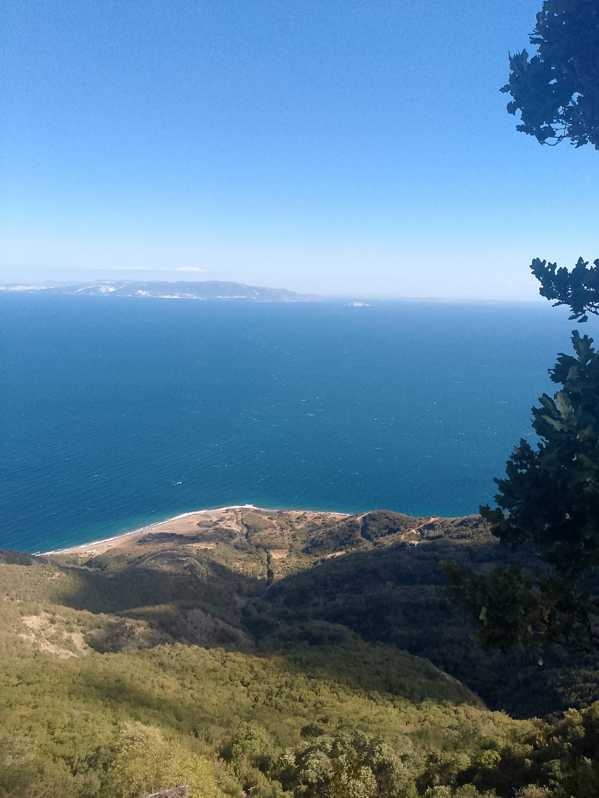 Sea panorama