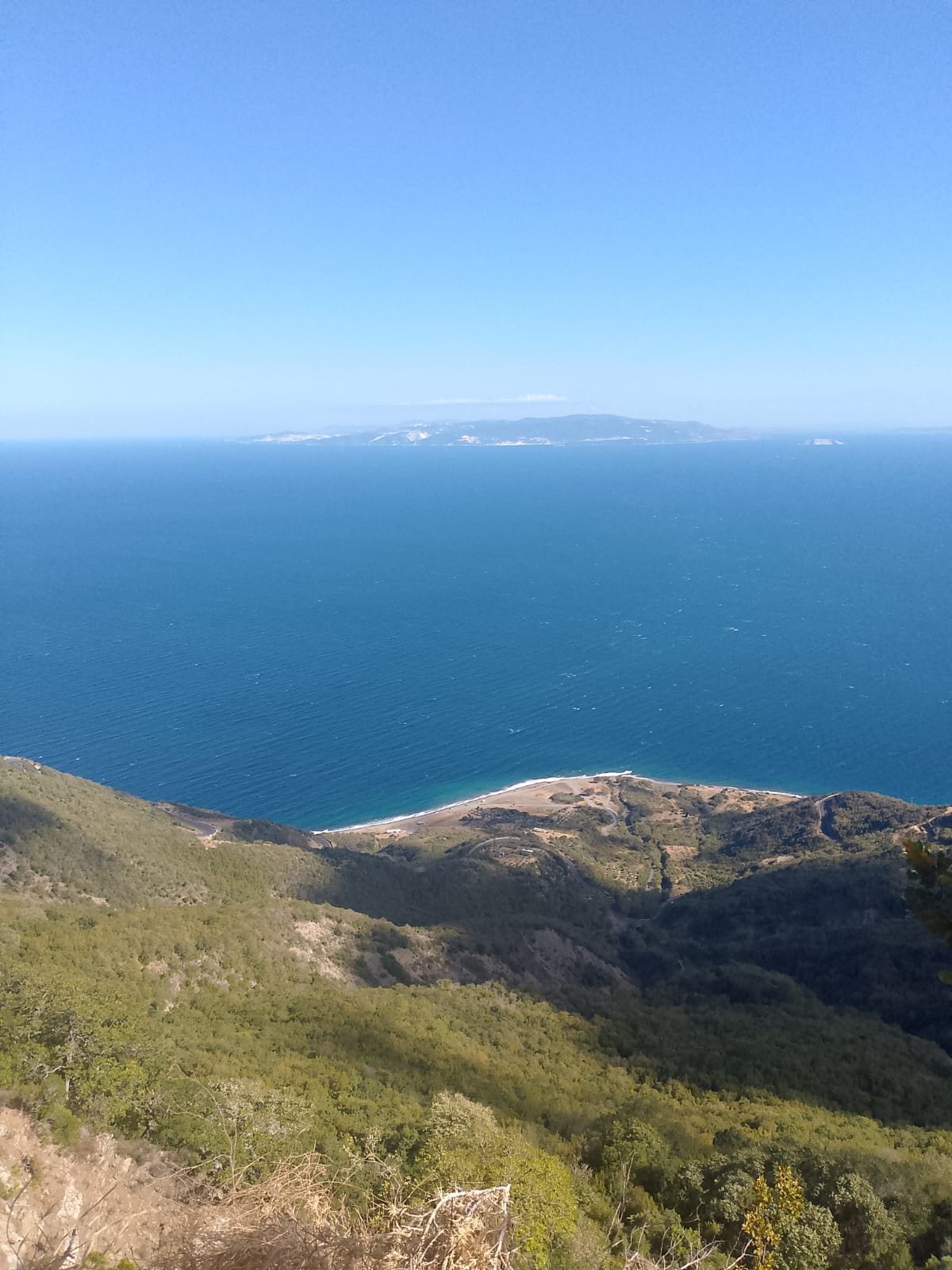 View 1